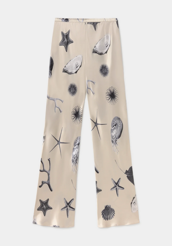 Beige pants with starfish and shell pattern on a white background